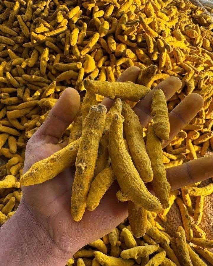 Turmeric